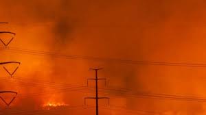 Nwtf texas and its partners have identified the most critical areas of habitat in the state. Turkey Farm Road Fire Does Damage To Habitat Of Mojave Desert Tortoise