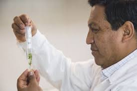 Put food scraps in the bin, and wash and dry plates, cups biological control methods can also be used to control pests. International Phytosanitary Awareness Week Pest And Disease Control In Crops As A Weapon In The Battle Against Malnutrition International Potato Center