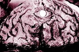 Angry red planet is the story of man's first trip to mars told as a flashback by one of the survivors of the mission. Science Fiction A Giant Amoeba In The Angry Red Planet