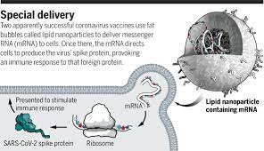 Senior uae officials who were immunised. Public Needs To Prep For Vaccine Side Effects Science