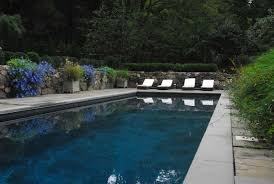 Dark stains are often from metals.what is the ph of the water? Dark Bottom Pool Houzz