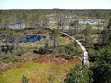 bog wikipedia