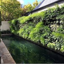 Lush Wall Amenagement Jardin Paysager Mur Vegetal Exterieur