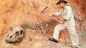 Cardinal and ordinal numbers)this is useful as a follow up test of revisio. Fossil Finds