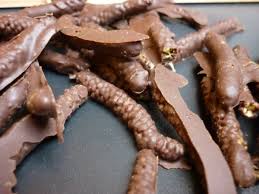 Chatons De Noisetier Au Chocolat Cuisine Sauvage Asbl Cuisine Sauvage Noisetier Chocolat