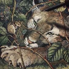 No Act Of Kindness No Matter How Small Is Ever Wasted I Ve Decided To Stick With A Northwest Take Art Illustration Art Watercolor Paintings Of Animals