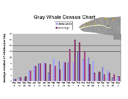 Journey North Gray Whale Spring 2003