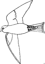 Fliegender Vogel Von Unten Ausmalbild Malvorlage Fruhling