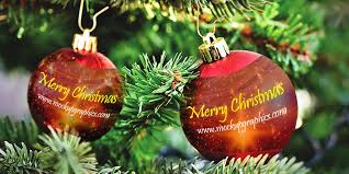 Download 50 Free Christmas Greetings And Mockups PSD Mockup Templates