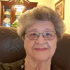 What are some affordable vets or emergency vets in Houma for a dog that has  been throwing up and showing signs of pain?