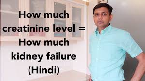 How Much Creatinine Level How Much Kidney Failure Hindi