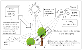 Remote Sensing Free Full Text Modeling Solar Radiation In The Forest Using Remote Sensing Data A Review Of Approaches And Opportunities Html