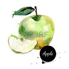 Main Peinture L Aquarelle Tir Sur Fond Blanc Vector Illustration De Fruits Illustration De Fruits Dessin Fruits Pommes Dessin