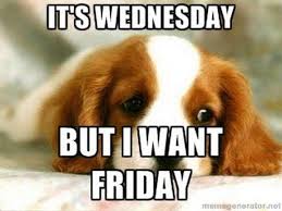 15 Funny Wednesday Memes To Make Your Hump Day A Little Better Funny Wednesday Memes Morning Quotes Funny Wednesday Humor