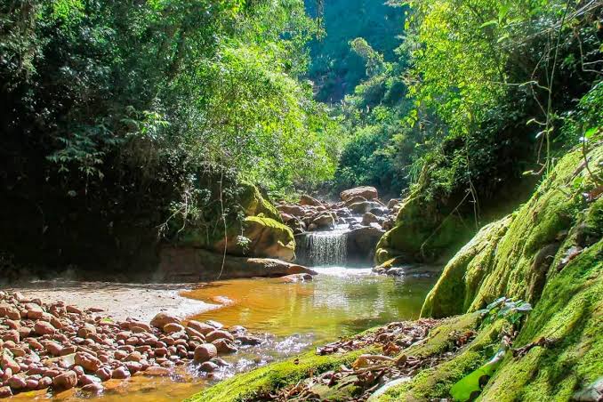 Parque Nacional Calilegua: El Corazón de las Yungas | ADN Travel – Agencia de Viajes en Jujuy
