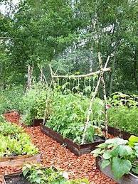 small vegetables garden for beginners 43 jardin potager idees jardin jardins