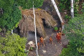 Indigenous peoples inhabit a large portion of the amazon rainforest and their traditional and cultural beliefs have existed for centuries, providing storage for an immense amount of knowledge about the tropical amazon. 2020 Fires Endangering Uncontacted Amazon Indigenous Groups