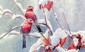 Picture quality is very cute, nice and beautiful. Beautiful Birds Wallpapers Hd Pictures One Hd Wallpaper Beautiful Birds Wallpaper Hd 1024x640 Wallpaper Teahub Io