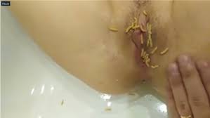 Maggot in pussy