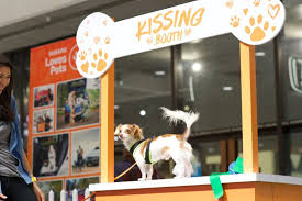 <p>each year, atlanta pet rescue helps around 1,000 animals, many that are abused, find a home. Subaru Adopt A Puppy At The 2019 Atlanta International Auto Show The News Wheel