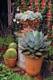 We did not find results for: 10 Outstanding Succulents Finegardening