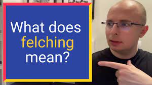 What does FELCHING mean? Find out Definition and Meaning - YouTube