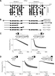 Published posts will also show up on your profile, which will increase your credibility in related fields that are relevant to your professional experience. Membrane Topology Of Naadp Sensitive Two Pore Channels And Their Regulation By N Linked Glycosylation Journal Of Biological Chemistry