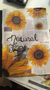 Natural Forms Title Page Let S Get Started My Own Work Gcse Art Sketchbook Natural Form Art Photography Sketchbook