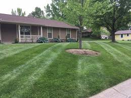 Maybe you would like to learn more about one of these? St Peters Lawn Care Landscaping Services