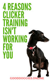 4 reasons why dog clicker training isn t working for you good doggies online dog clicker training good doggies online dog training