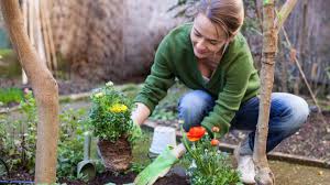 We did not find results for: How To Clean Gardening Tools Properly First For Women