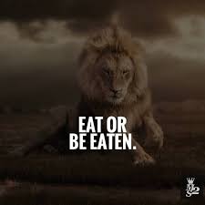 Pin On Motivational Quotes