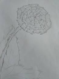 Pentru cei mai multi dintre noi, sa desenezi un peisaj cu munti in creion pare destul de dificil. Desenele Mele Magda Dark Star Florile Wattpad
