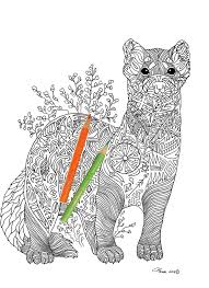 100% free pets coloring pages. Pin On Adult Color Images Small Animals