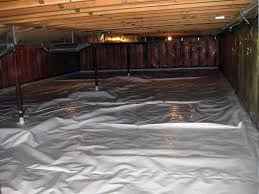 A moist and damp crawlspace affects the entire home. We Clean Crawl Spaces In Ontario Crawl Space Cleanup In Hamilton Oakville Burlington