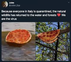 Nature Is Healing' Jokes That Will Make You Giggle During This ...