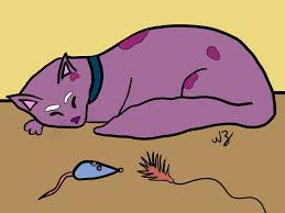 Image result for Nicolasia