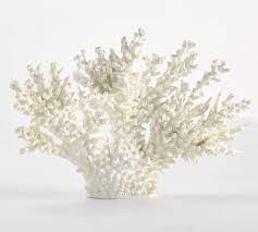 We did not find results for: White Spike Coral Pottery Barn