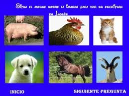 Cuaderno de grafismo creativo «los animales». Los Sonidos De Los Animales Juego Interactive Interactivo Ninos Youtube