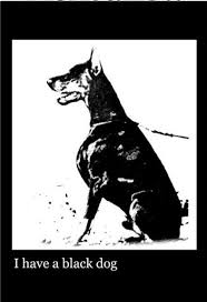 Anjing, hitam dan putih, sedang tidur, anjing seperti mamalia, hitam, putih, jenis anjing, binatang menyusui, fotografi monokrom, hidung, moncong, cambang, satu warna, anak anjing, carnivora, bulu. Pin Oleh Seul Di I Have A Dream Anjing Seni Hitam