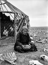Roza never knew that three of her uncles and aunts had died in a famine in  Kazakhstan, until she returned home... When Roza Kudabayeva was growing up,  there was nothing but silence