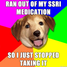 Meme live is a real live streaming platform to make friends and showcase talent. Live Your Best Life Meme On Imgur