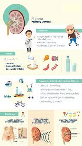 Pin On Kidneys Care And Chronic Kidney Disease