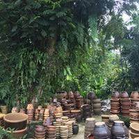 Auf tripadvisor finden sie alles für sungai buloh, selangor: Nursery Sg Buloh 13 Tipps Von 1588 Besucher
