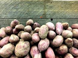Sweet potatoes are a hearty, delicious veggie. How The Japanese Sweet Potato Changed My Life
