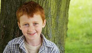 Urban Forestry Stakeholder Meeting: Forestry Opportunities Within Your  Community