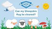 Check spelling or type a new query. How To Clean A Sheepskin Rug So Easy Youtube