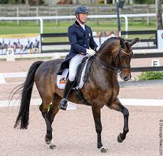 The pony club is an international voluntary youth organisation for young people interested in ponies and riding. Jan Ebeling Status Royal Win Wellington S Lovsta Future Challenge Developing Grand Prix Qualifier Dressage News