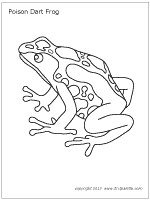 Poison Dart Frog Printable Templates Coloring Pages Frog Coloring Pages Frog Drawing Coloring Pages