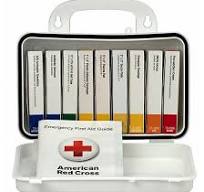 FIRST AID ONLY First Aid Kit and Housing: Gen Purpose, 10 People Served, 65  Components, Plastic